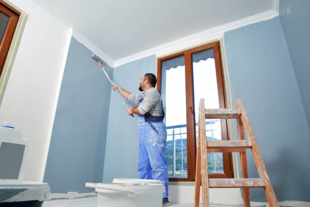 Best Black Mold Removal  in Hartsdale, NY