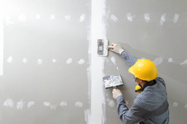 Reliable Hartsdale, NY Mold Removal Solutions