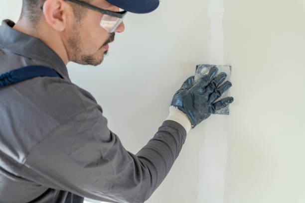 Best Post-Construction Mold Inspection  in Hartsdale, NY