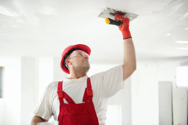 Best Mold Remediation for Healthcare Facilities  in Hartsdale, NY