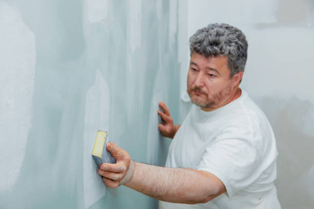 Best Emergency Mold Remediation  in Hartsdale, NY