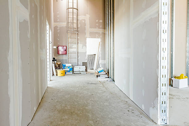 Best Air Quality Testing for Mold Spores  in Hartsdale, NY